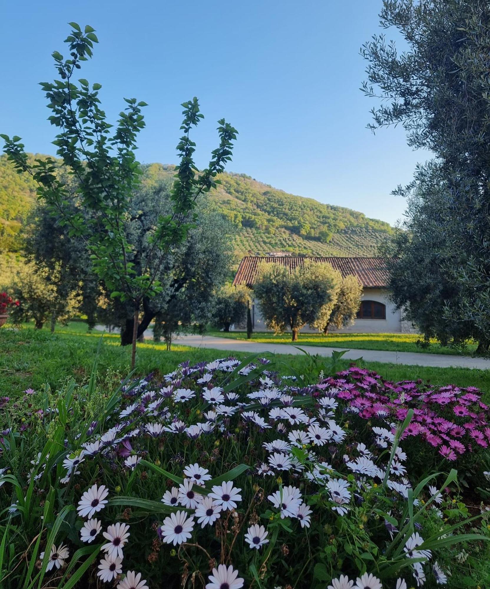 Casale Dei Priori Bed & Breakfast Rocca Massima Luaran gambar